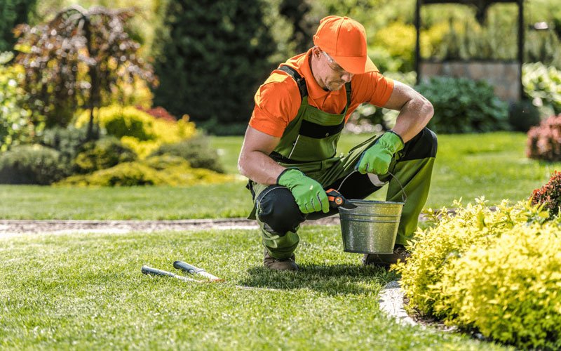 Garden Maintenance